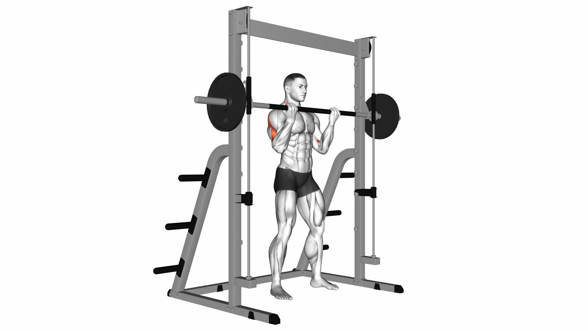 Smith Machine Bicep Curl - Video Exercise Guide & Tips