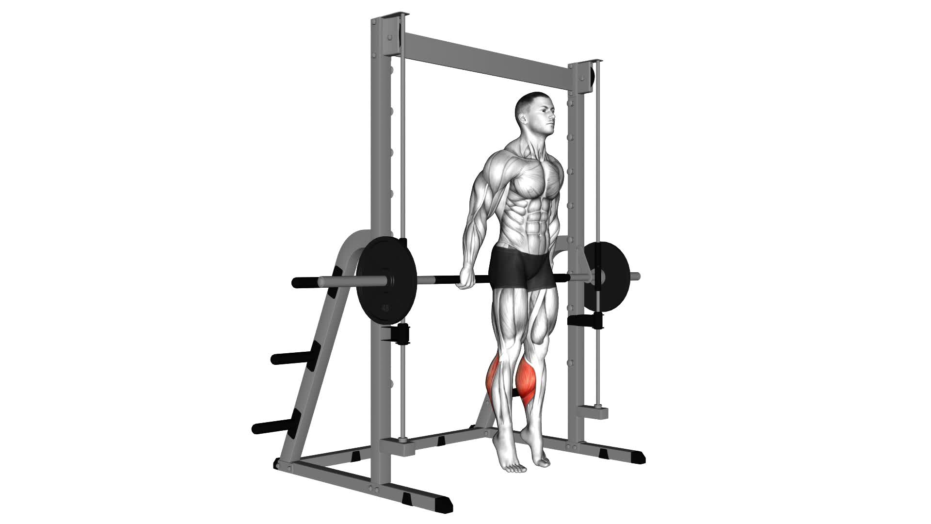 Smith Reverse Calf Raises - Video Exercise Guide & Tips