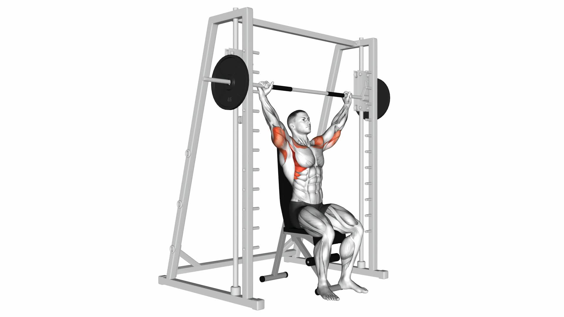 Smith Shoulder Press - Video Exercise Guide & Tips