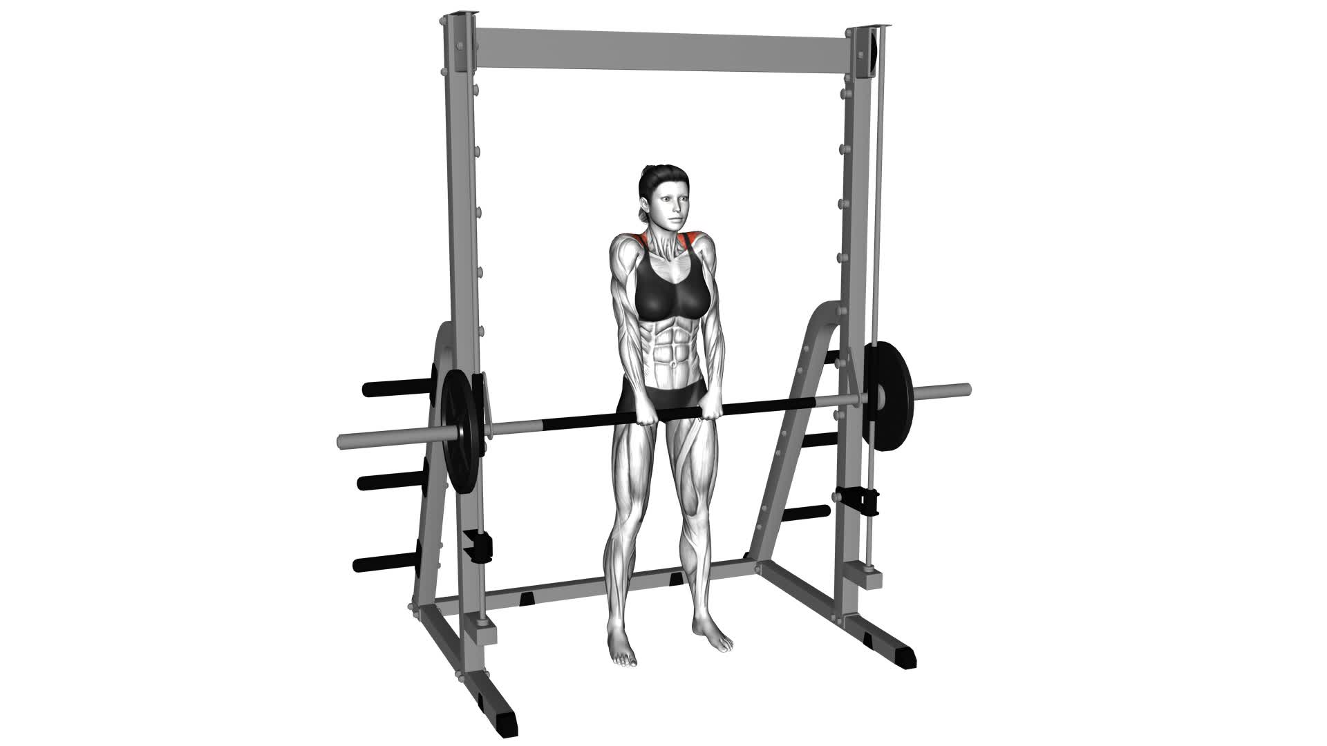 Smith Shrug (female) - Video Exercise Guide & Tips