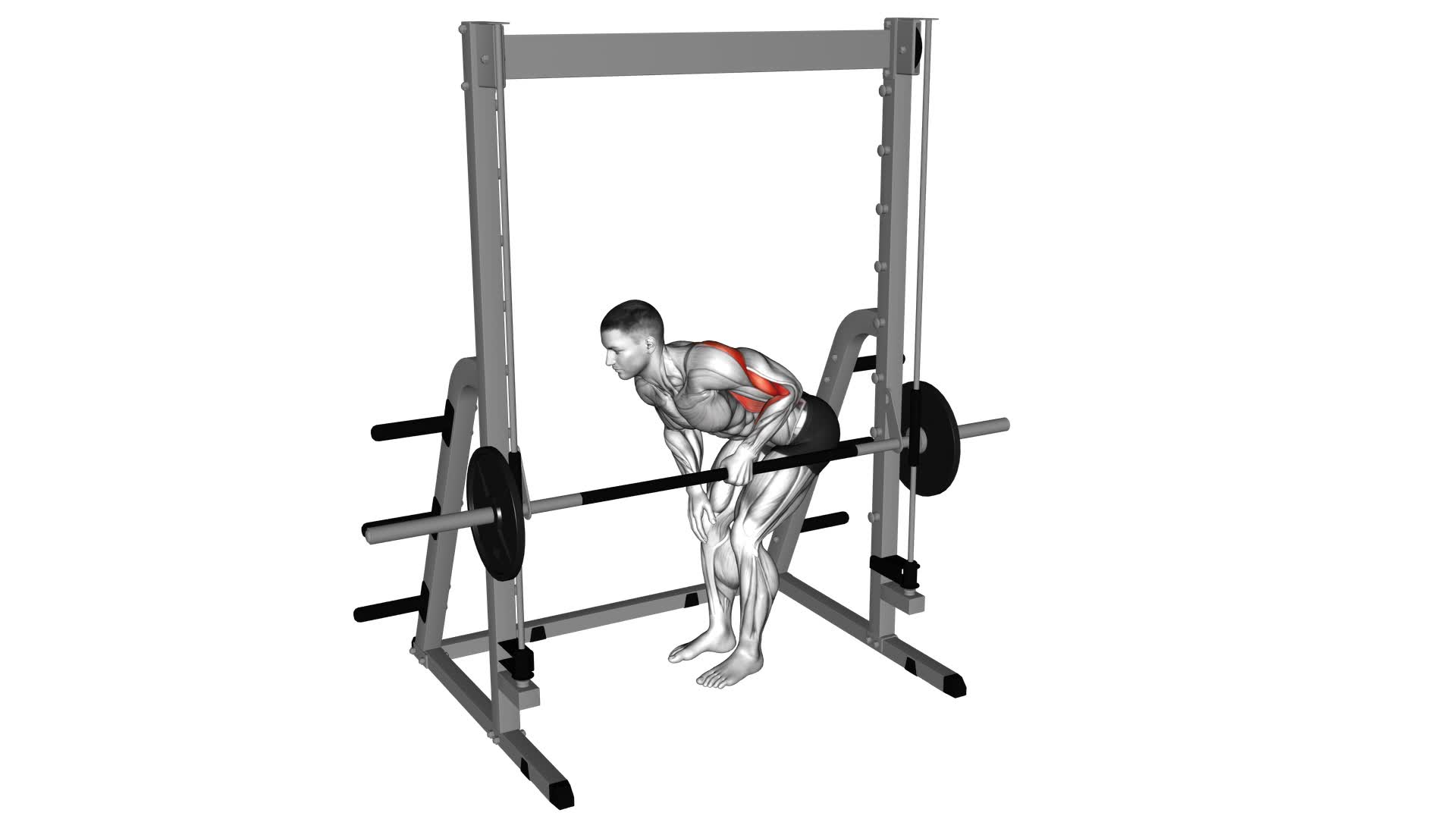 Smith Single Arm Bent Over Row - Video Exercise Guide & Tips