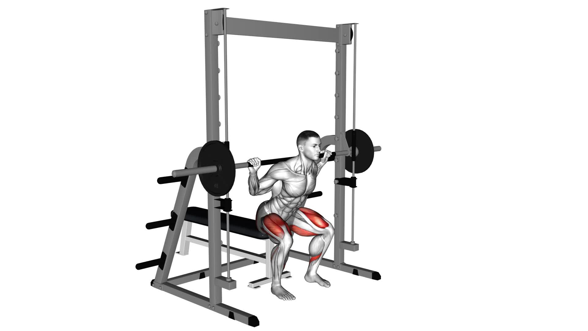 Smith Squat to Bench - Video Exercise Guide & Tips