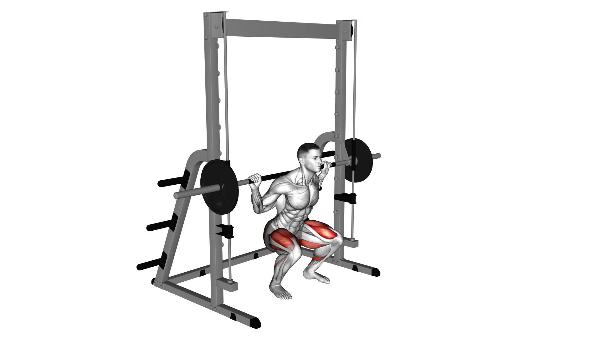 Smith Squat - Video Exercise Guide & Tips