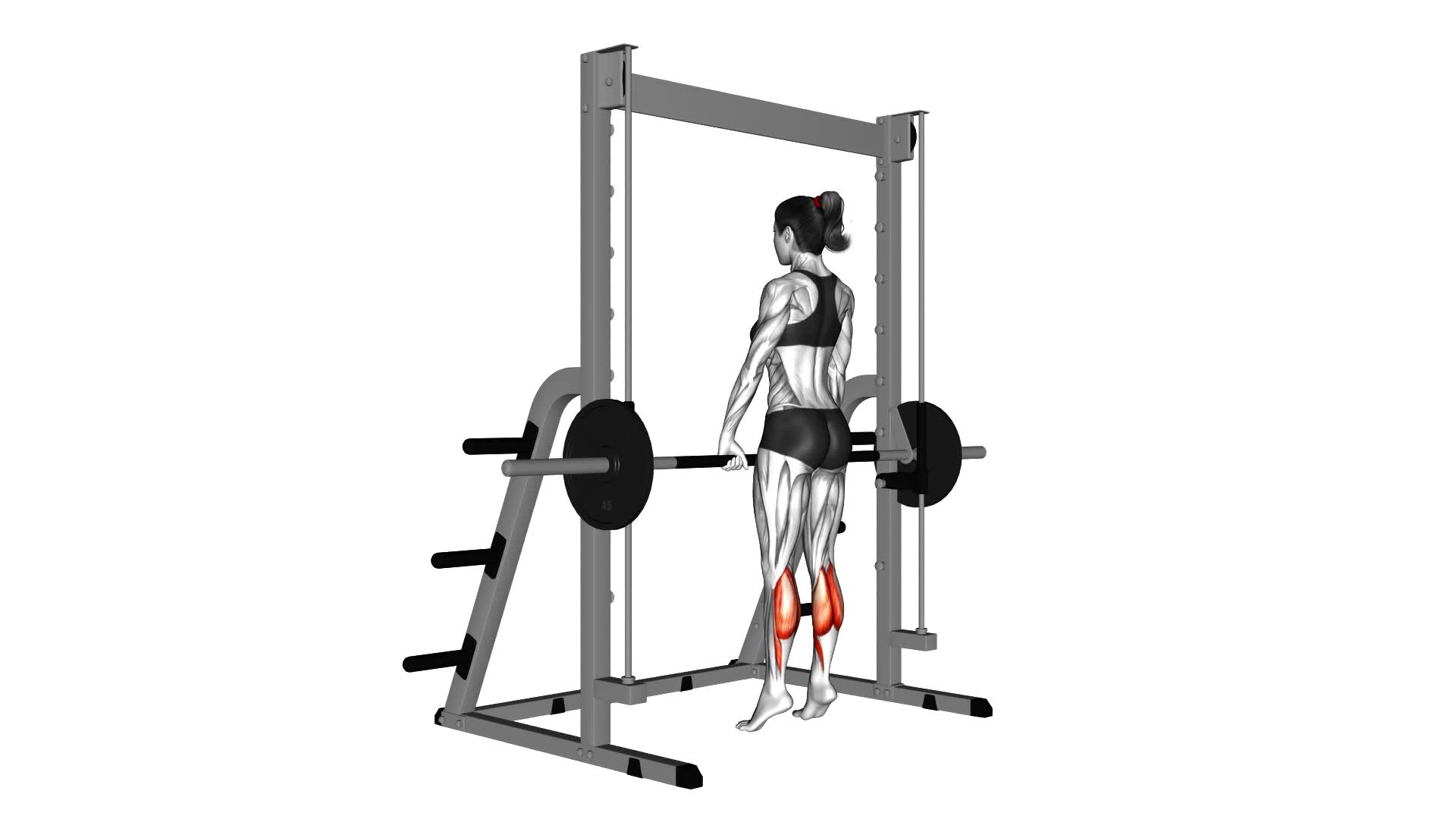 Smith Standing Leg Calf Raise (female) - Video Exercise Guide & Tips