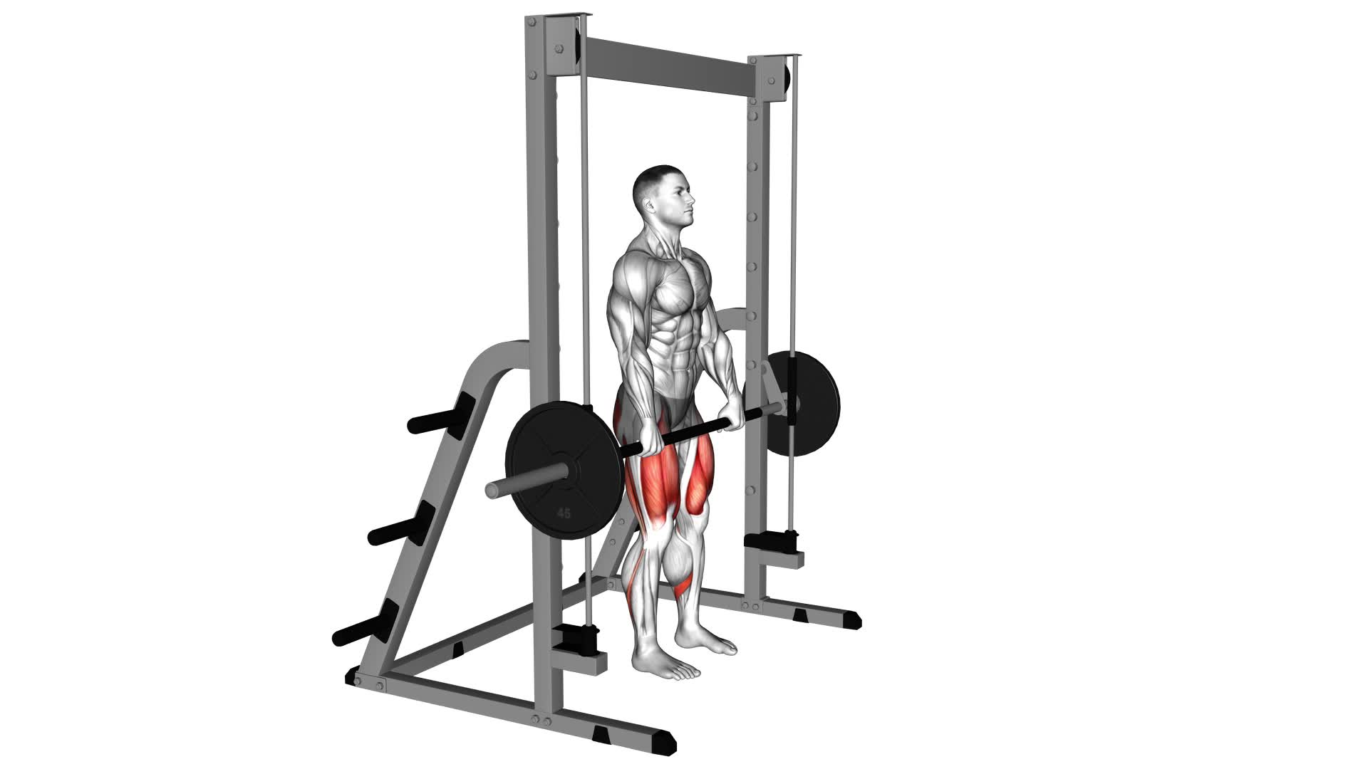 Smith Stiff Legged Deadlift - Video Exercise Guide & Tips