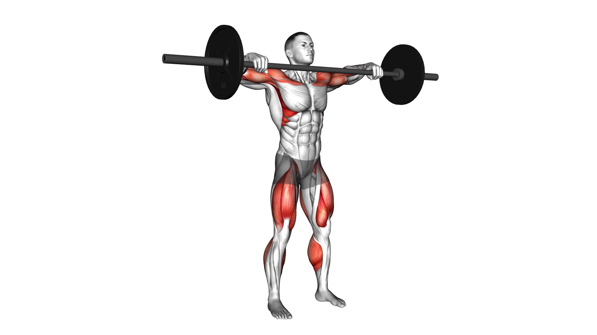 Snatch High Pull - Video Exercise Guide & Tips