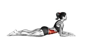 Sphinx Pose (female) - Video Exercise Guide & Tips