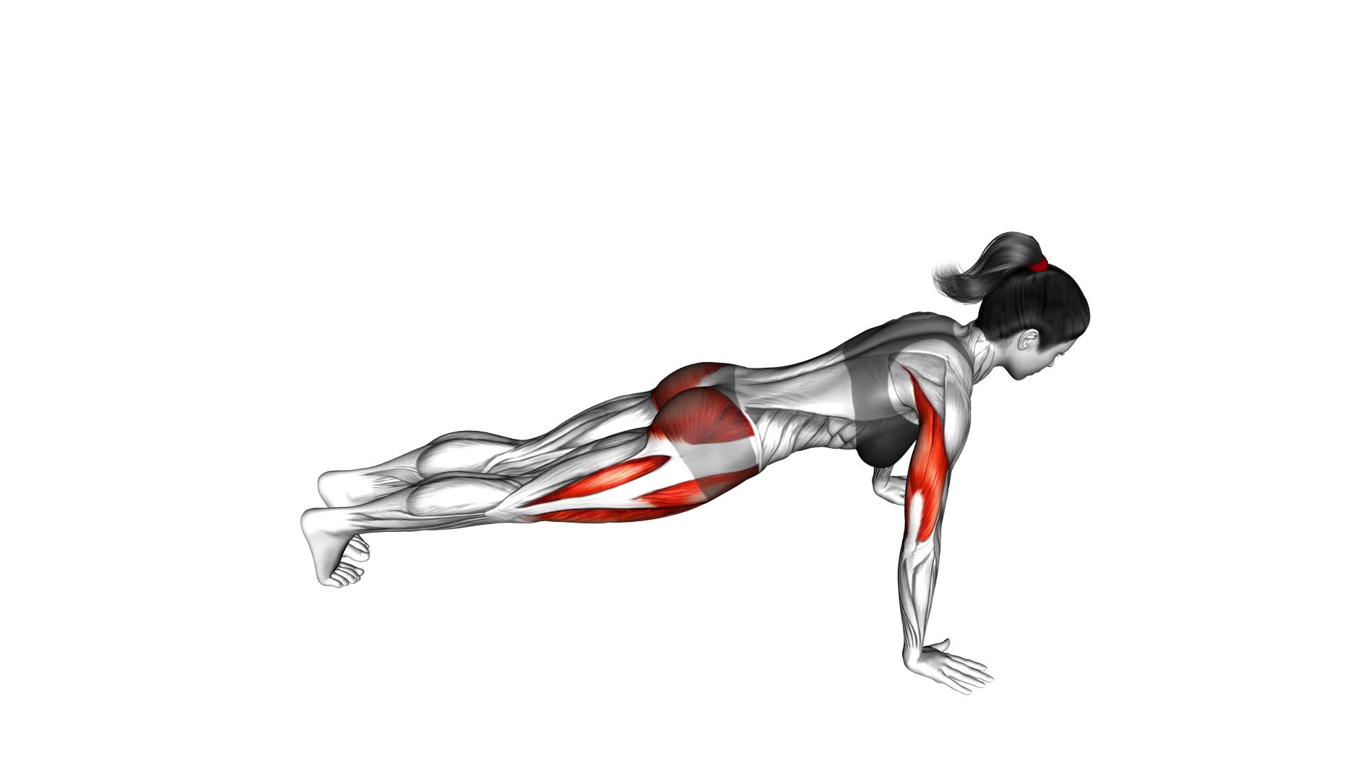 Spider Crawl Push-up (female) - Video Exercise Guide & Tips