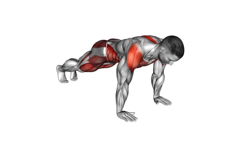 Spider Mountain Climber Video Exercise Guide Tips Spider Mountain Climber Video Exercise Guide Tips