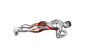 Spider Plank (male) - Video Exercise Guide & Tips