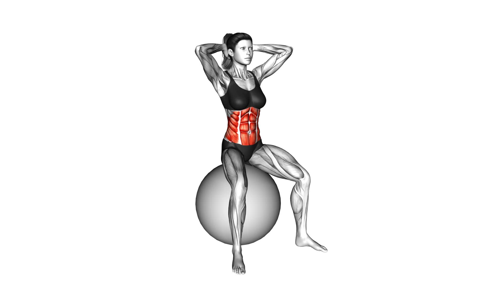 Spinal Stretch (On Stability Ball) - Video Exercise Guide & Tips