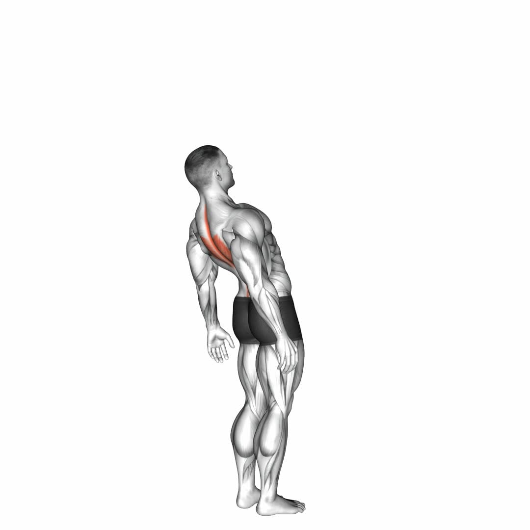 Spine (Lumbar) - Extension - Video Exercise Guide & Tips