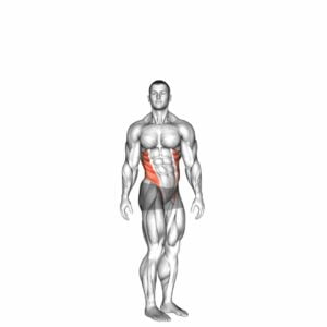Spine (Lumbar) - Rotation - Video Exercise Guide & Tips