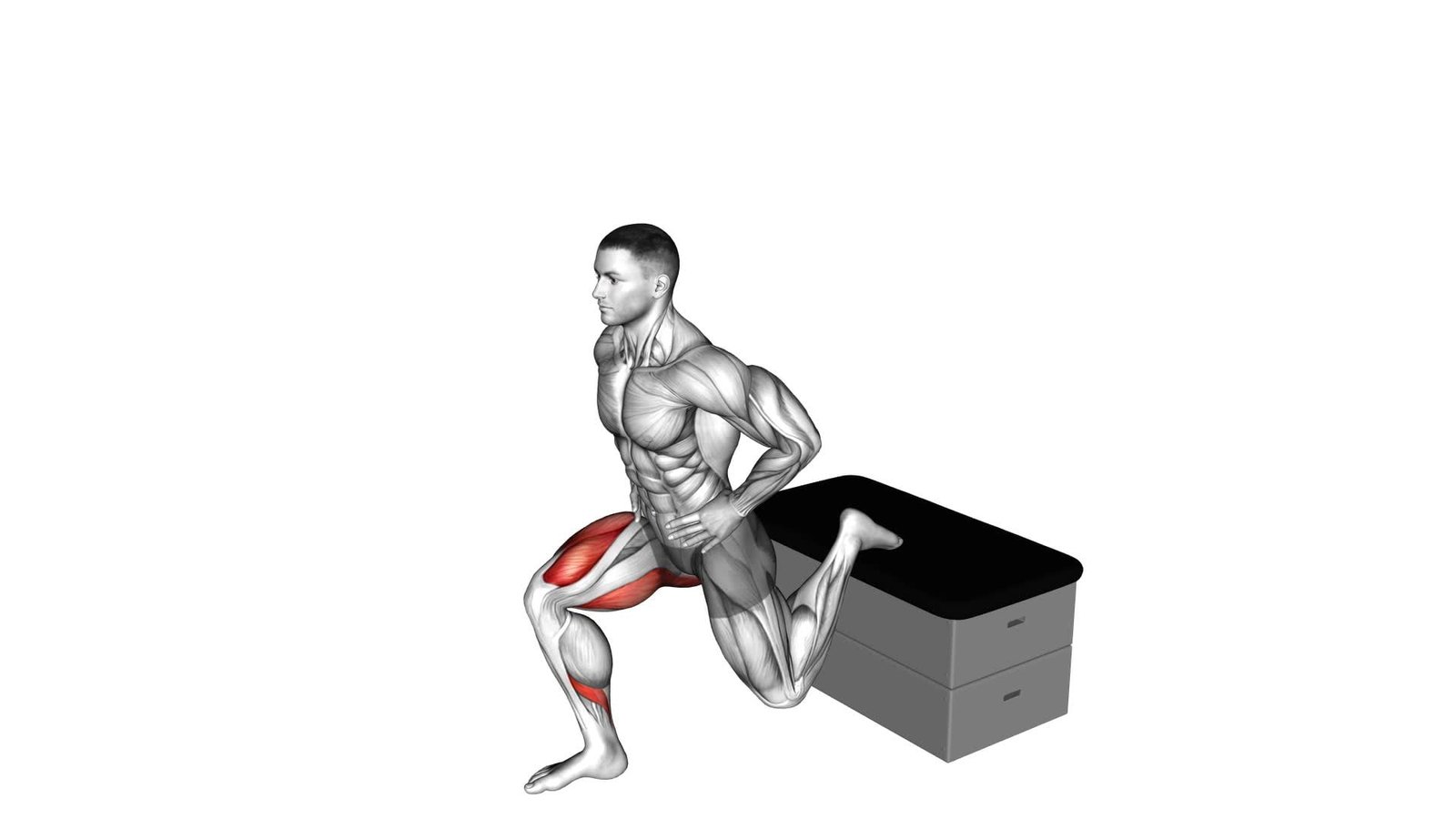 Split Squat a Padded Stool Supported - Video Exercise Guide & Tips