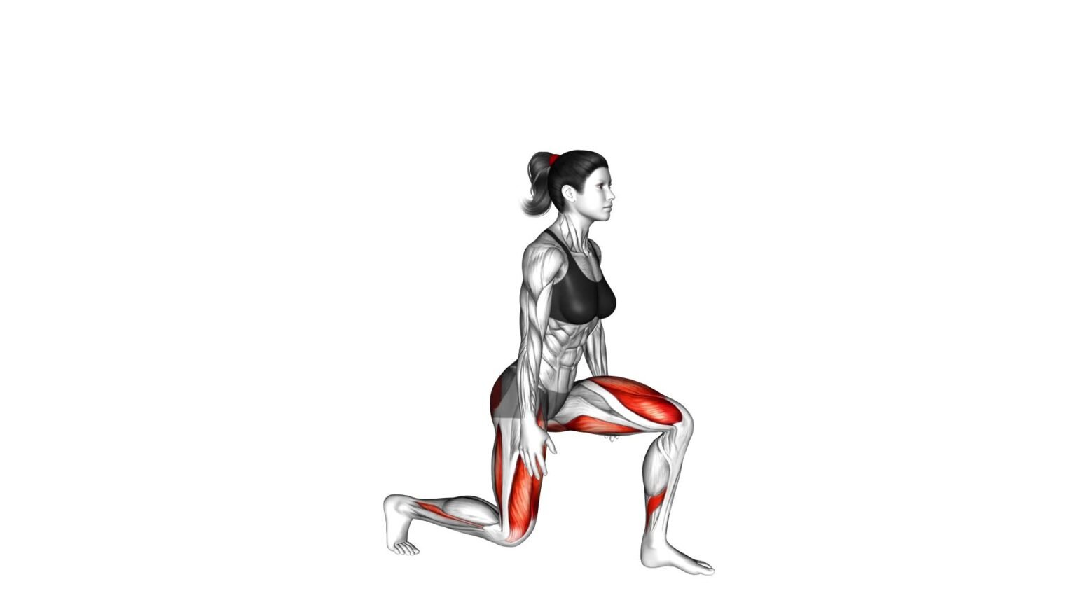 Split Squat (female): Video Guide & Tips For Effective Exercise