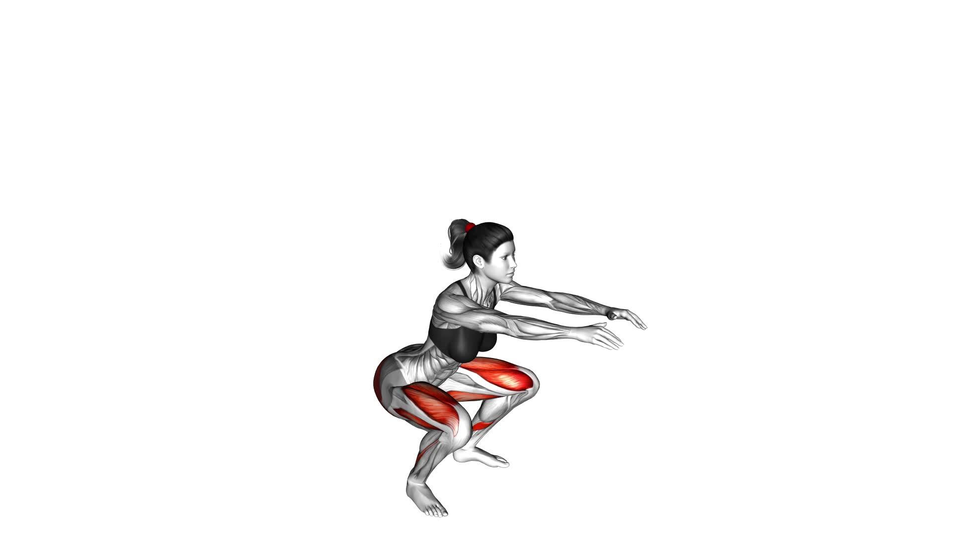 Squat (female) - Video Exercise Guide & Tips