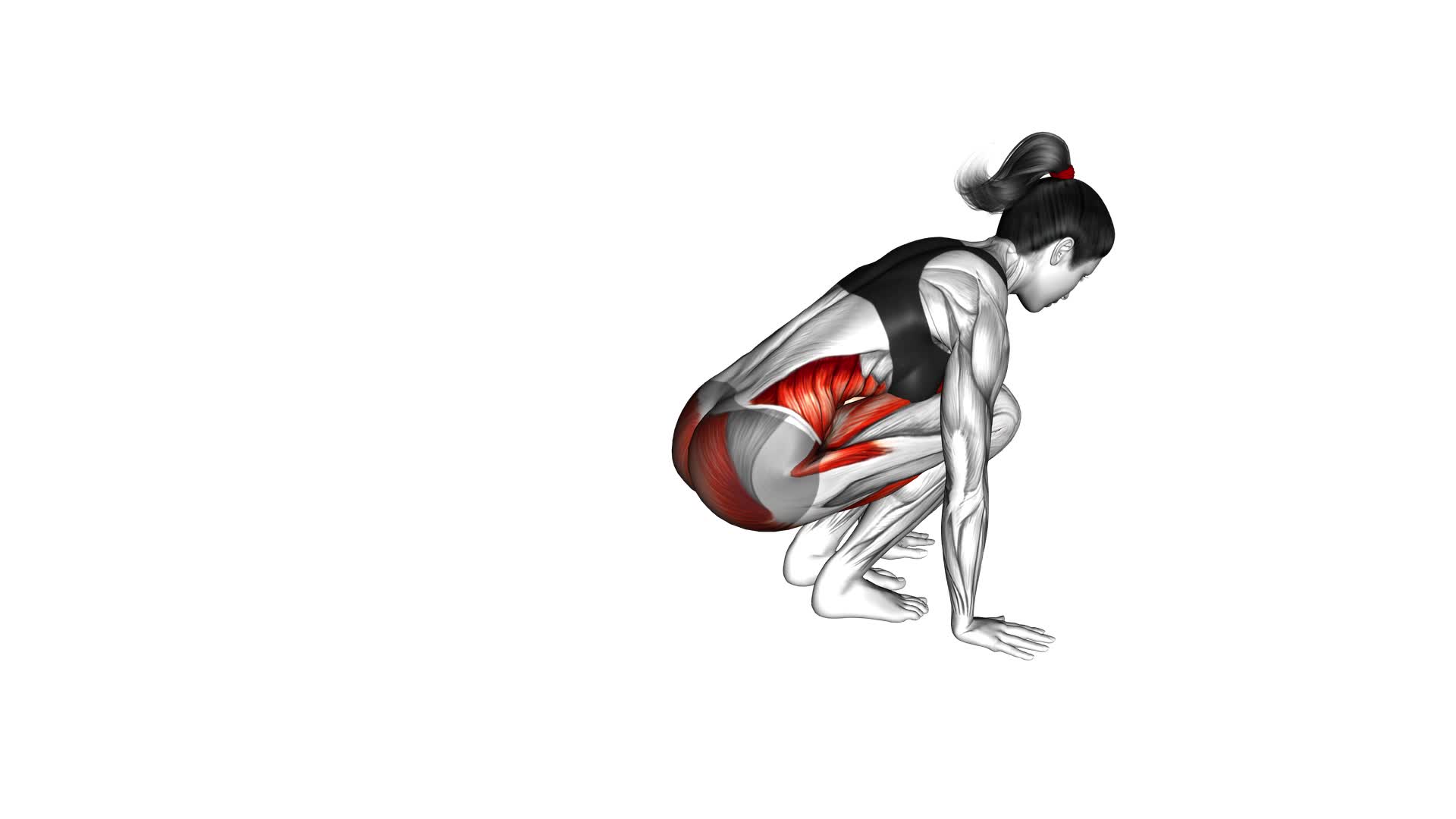 Squat Thrust (female) - Video Exercise Guide & Tips