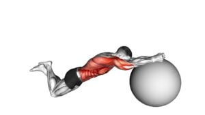 Stability Ball Rollout on Knees (male) - Video Exercise Guide & Tips