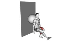 Stability Ball Single Leg Squat (male) - Video Exercise Guide & Tips