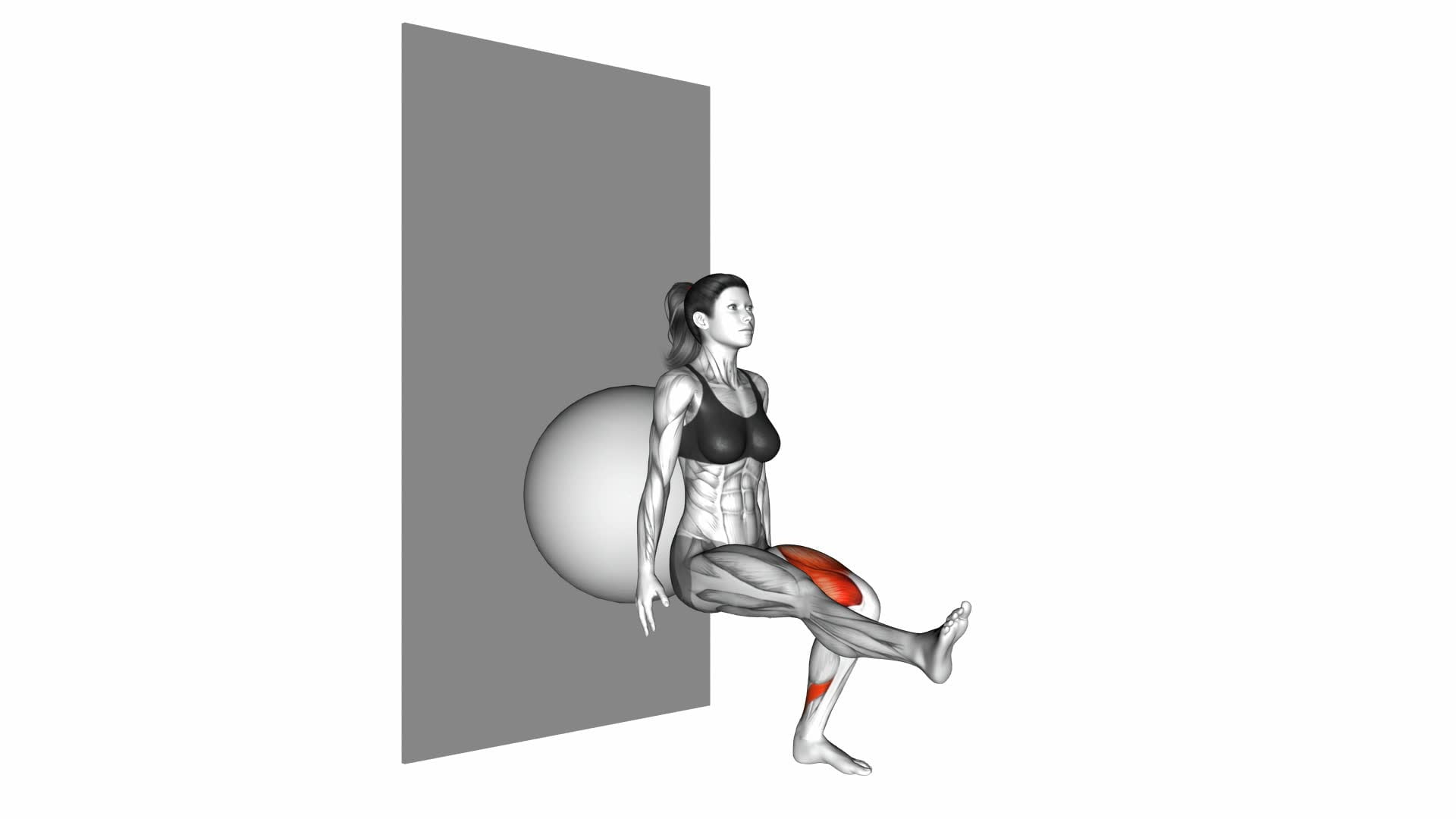 Stability Ball Single Leg Squat - Video Exercise Guide & Tips