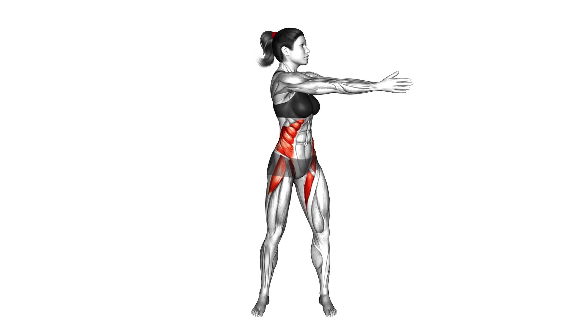 Standing Ab Twist (female) - Video Exercise Guide & Tips