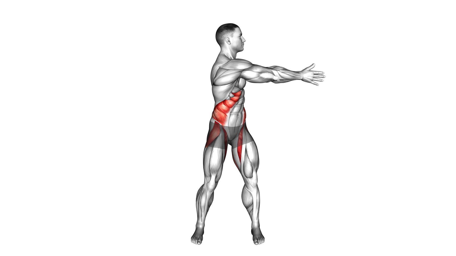 Standing Ab Twist (male) - Video Exercise Guide & Tips