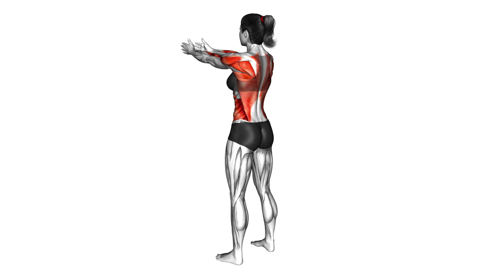 Standing Archer Alternate Arm Row (female) - Video Exercise Guide & Tips