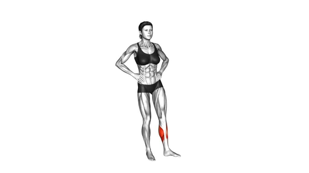 Standing Balance Ankle Rotation (female) - Exercise Guide & Tips