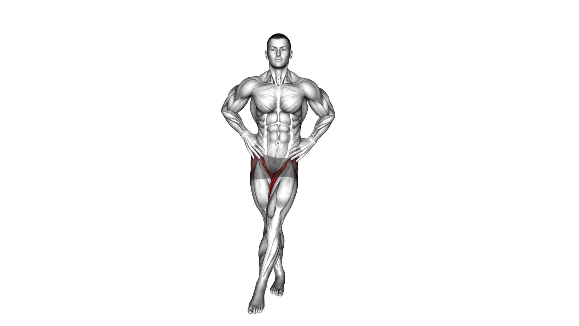 Standing Balance Single Crossover Pendulum Leg (male) - Video Exercise Guide & Tips