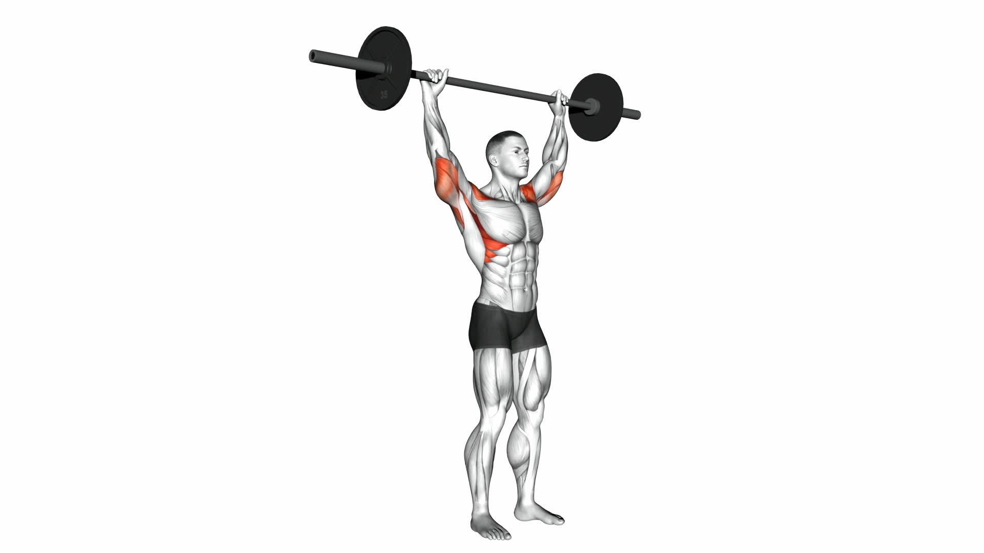Standing Behind Neck Press - Video Exercise Guide & Tips
