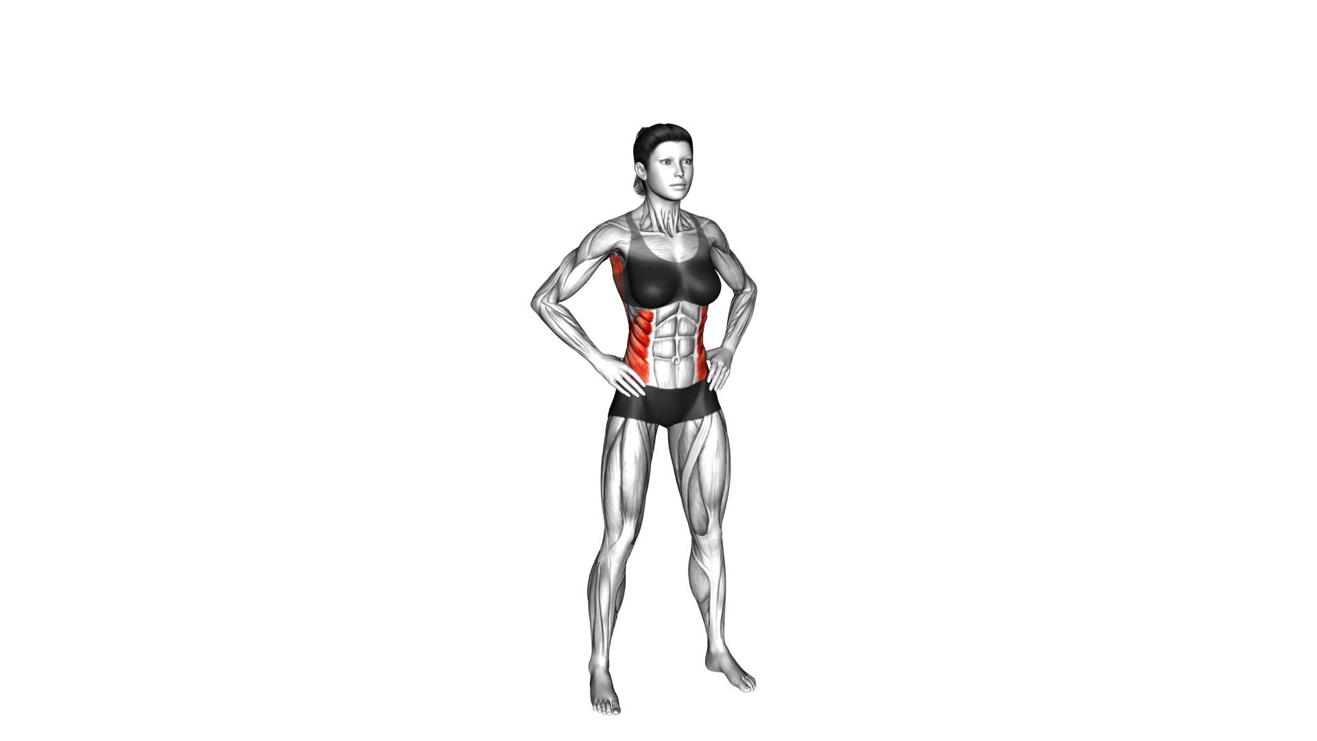 Standing Behind Sky Reach (female) - Video Exercise Guide & Tips