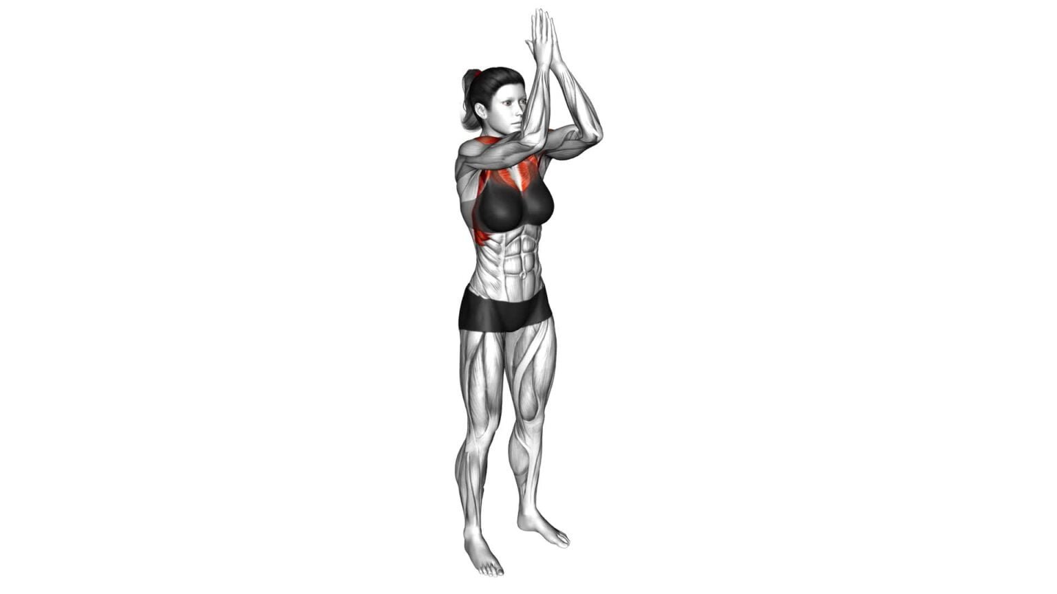 Standing Elbow Clap: Video Guide & Tips For Female Fitness