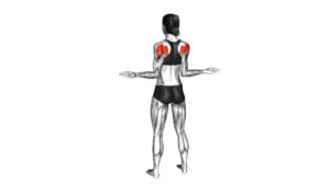 Standing Elbows Tucked Open and Close (female) - Video Exercise Guide & Tips