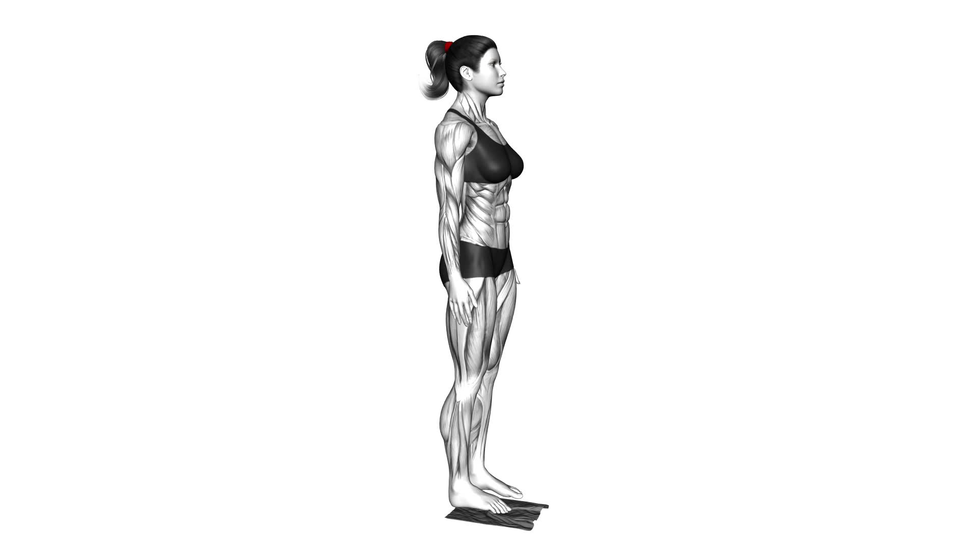 Standing Foot Muscles Activation (female) - Video Exercise Guide & Tips