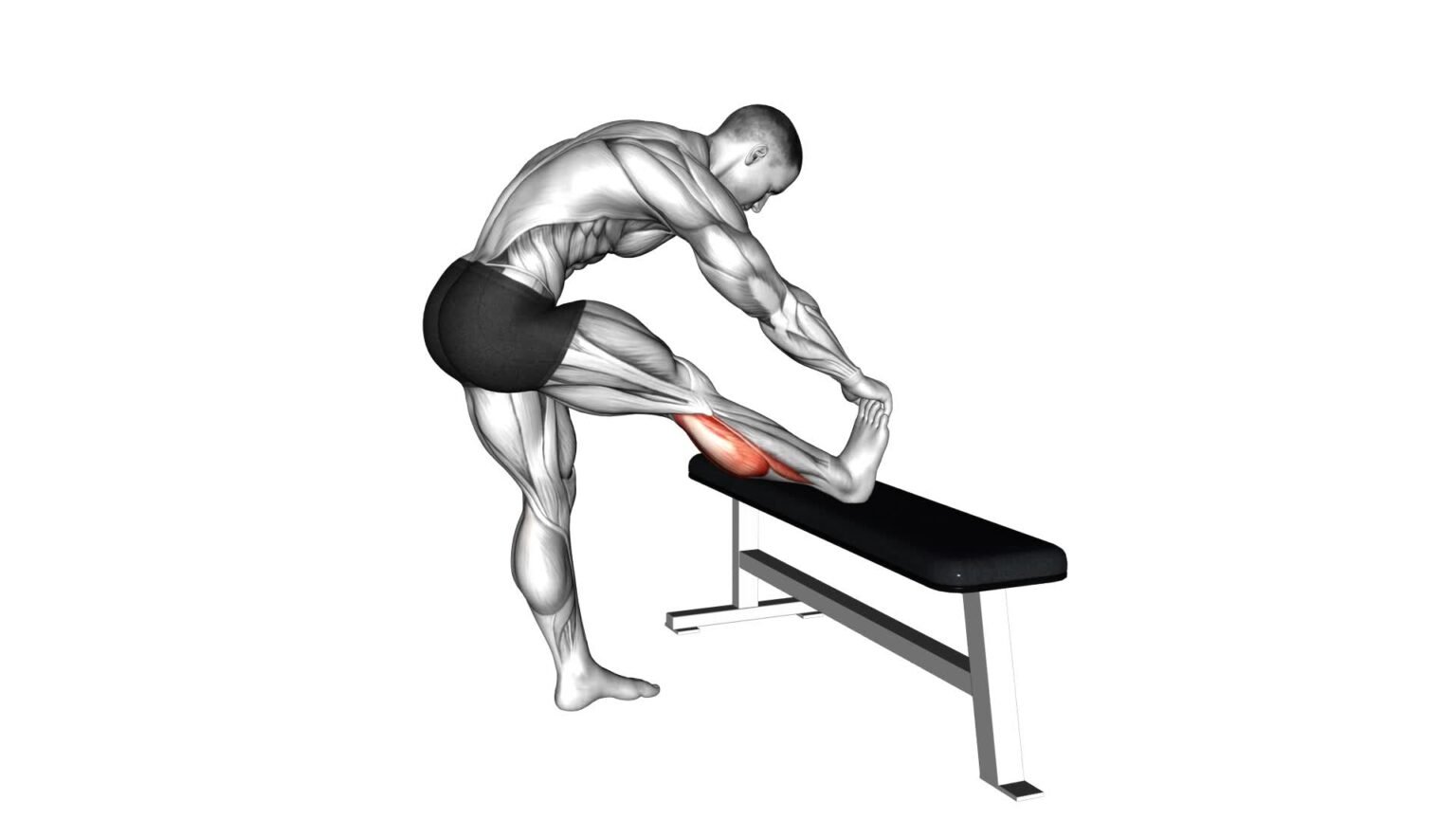 Standing Hamstring Stretch Example Stretching Hamstrings & Calves: Ultimate Guide & Tips - Video Tutorial