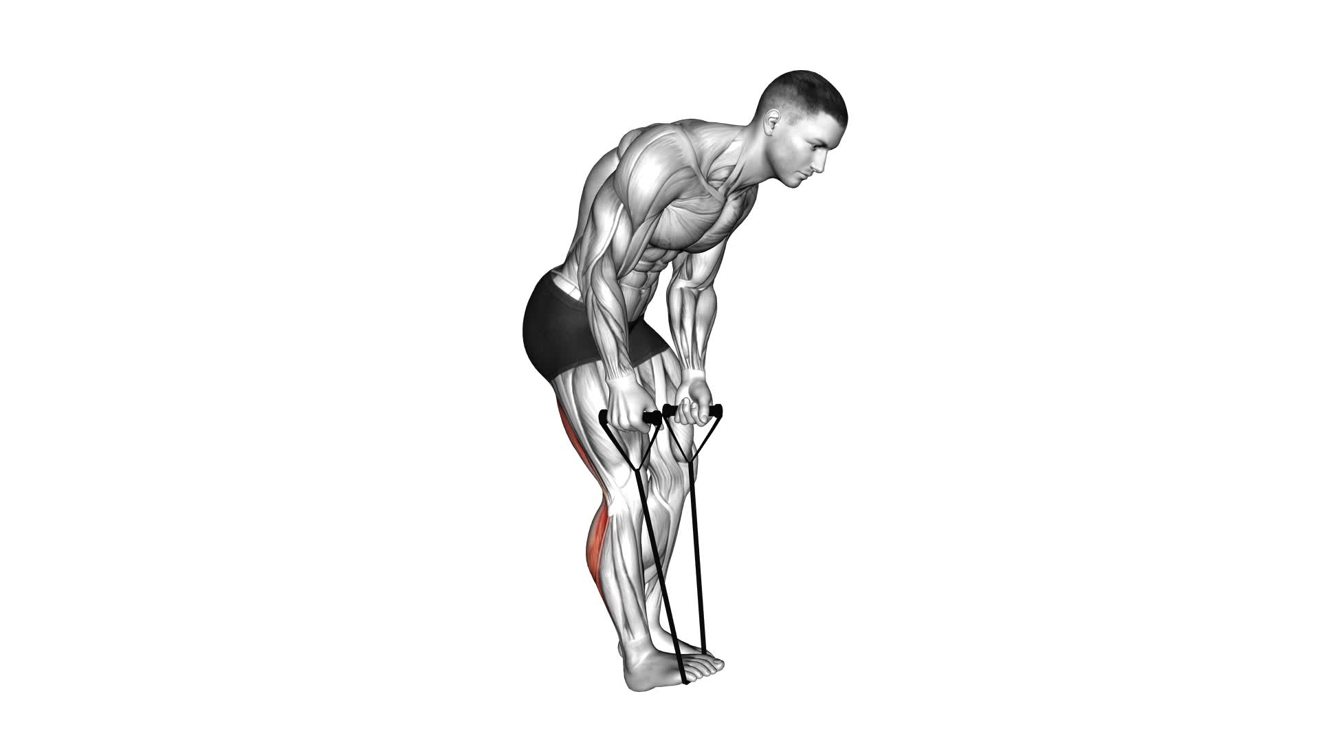 Standing Hamstring and Calf Stretch With Starp - Video Exercise Guide & Tips