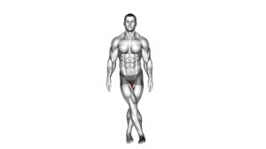 Standing Hip Adduction (VERSION 2) - Video Exercise Guide & Tips