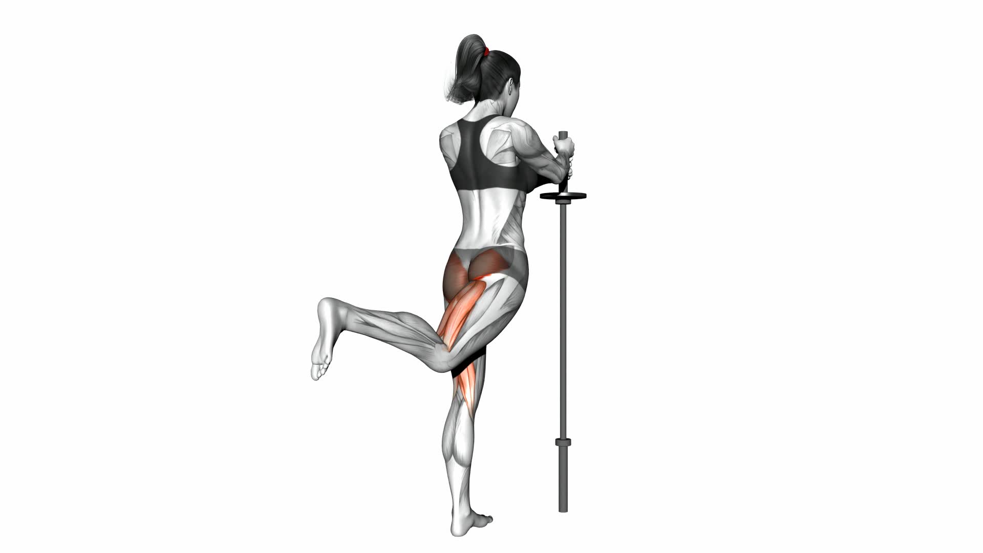 Standing Hip Extension (Bent Knee) - Video Exercise Guide & Tips