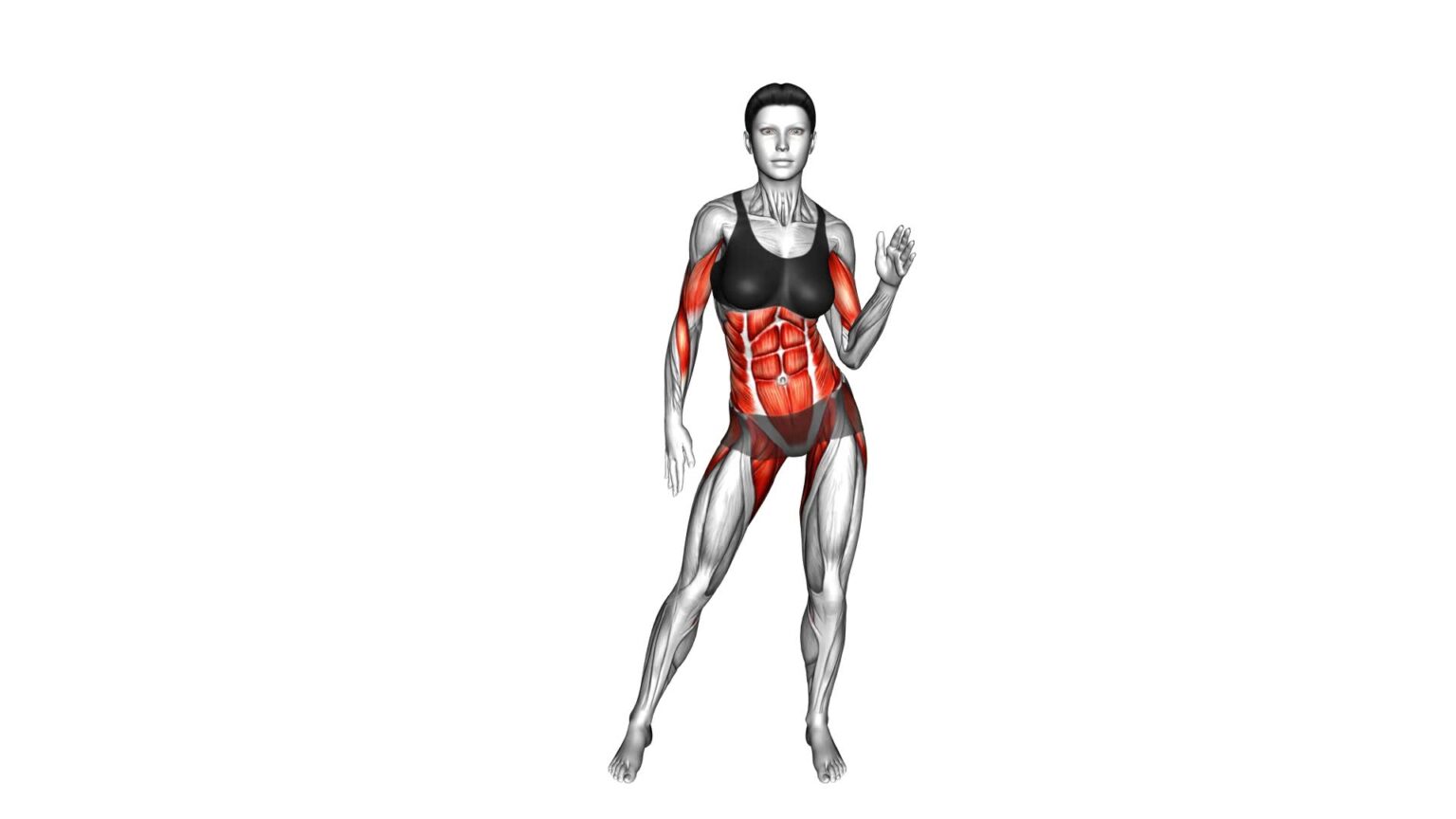 Standing Hip Frontal Rotation Curl (Female) - Exercise Guide & Tips