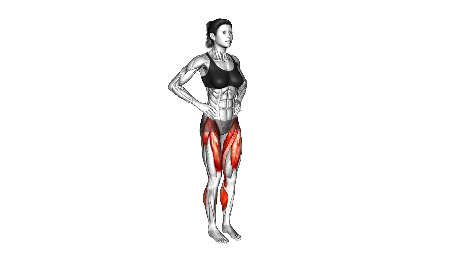 Standing Knee Raise (female) - Video Exercise Guide & Tips