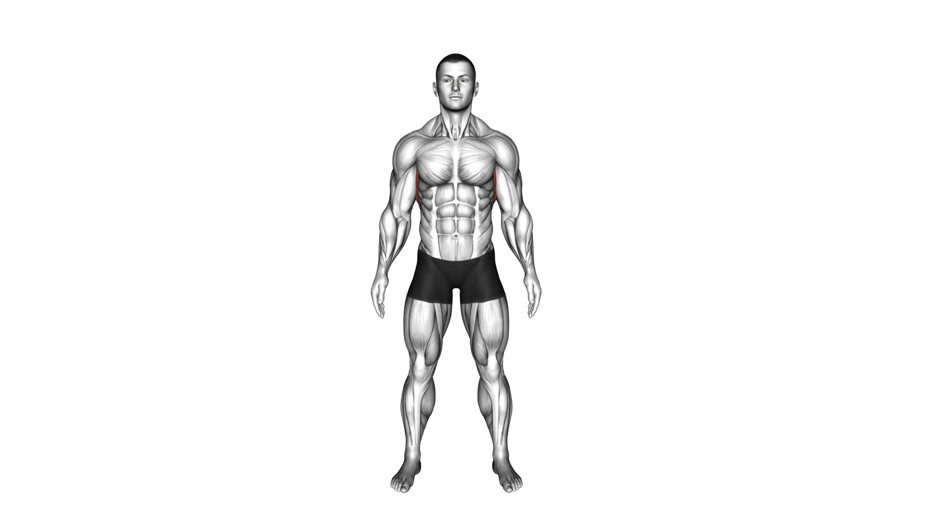 Standing Lateral Stretch - Video Exercise Guide & Tips