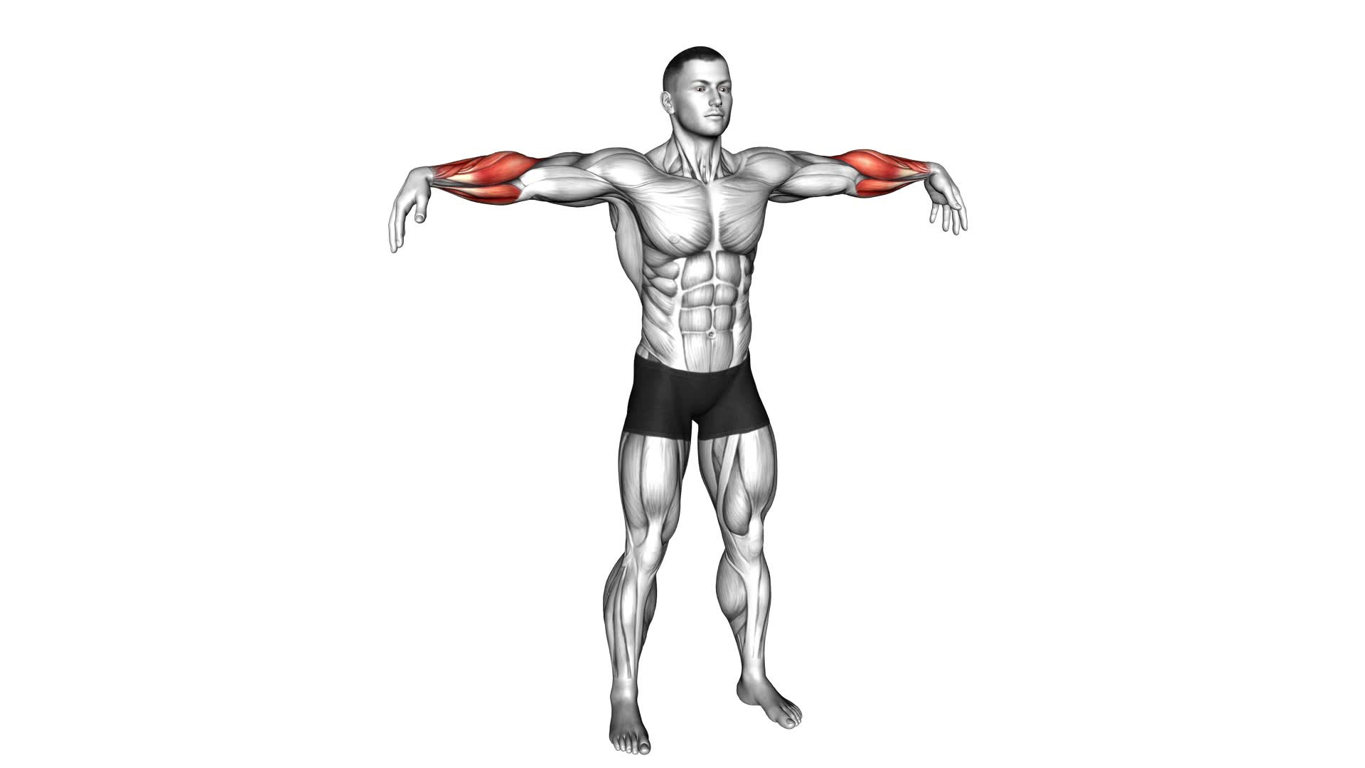 Standing Mid Air Finger Bounces (male) - Video Exercise Guide & Tips