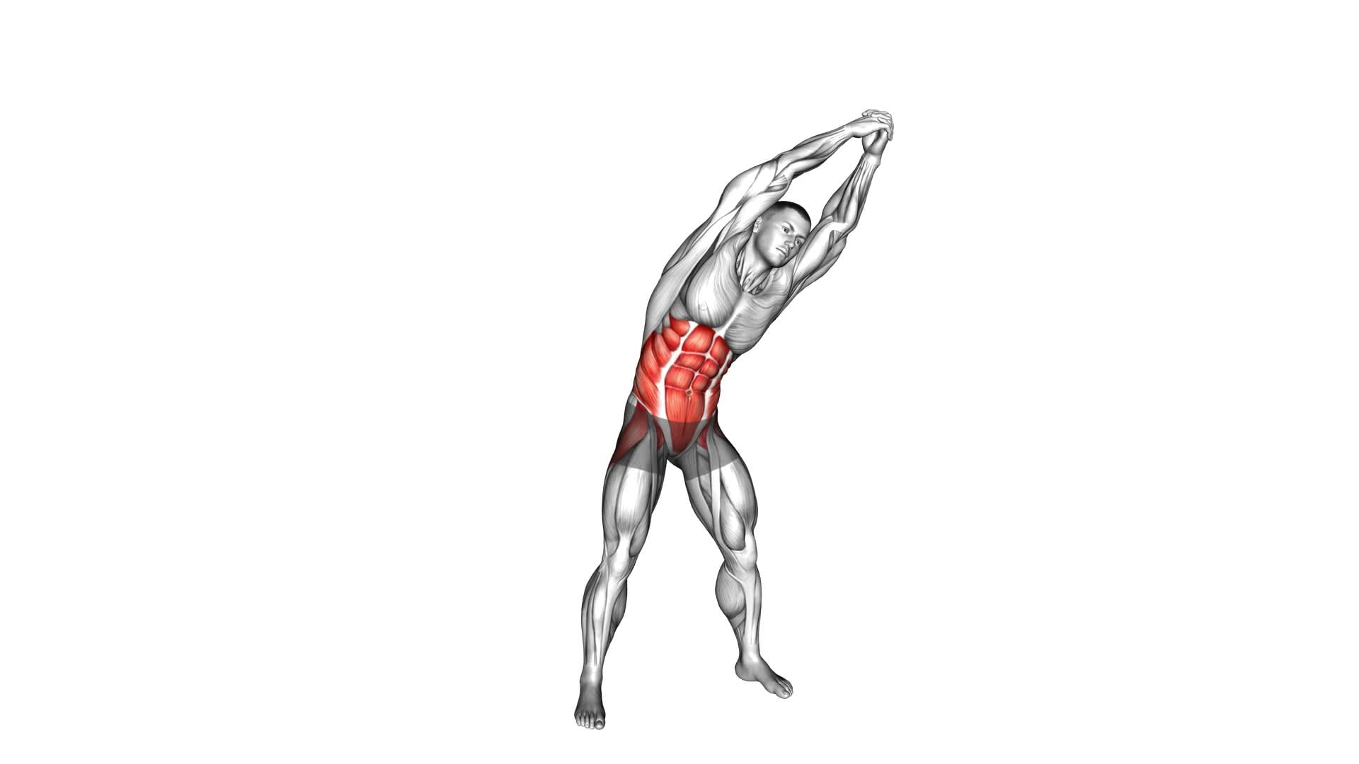 Standing Obliques Rotation (male) - Video Exercise Guide & Tips