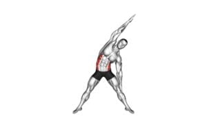 Standing Obliques Slides (male) - Video Exercise Guide & Tips