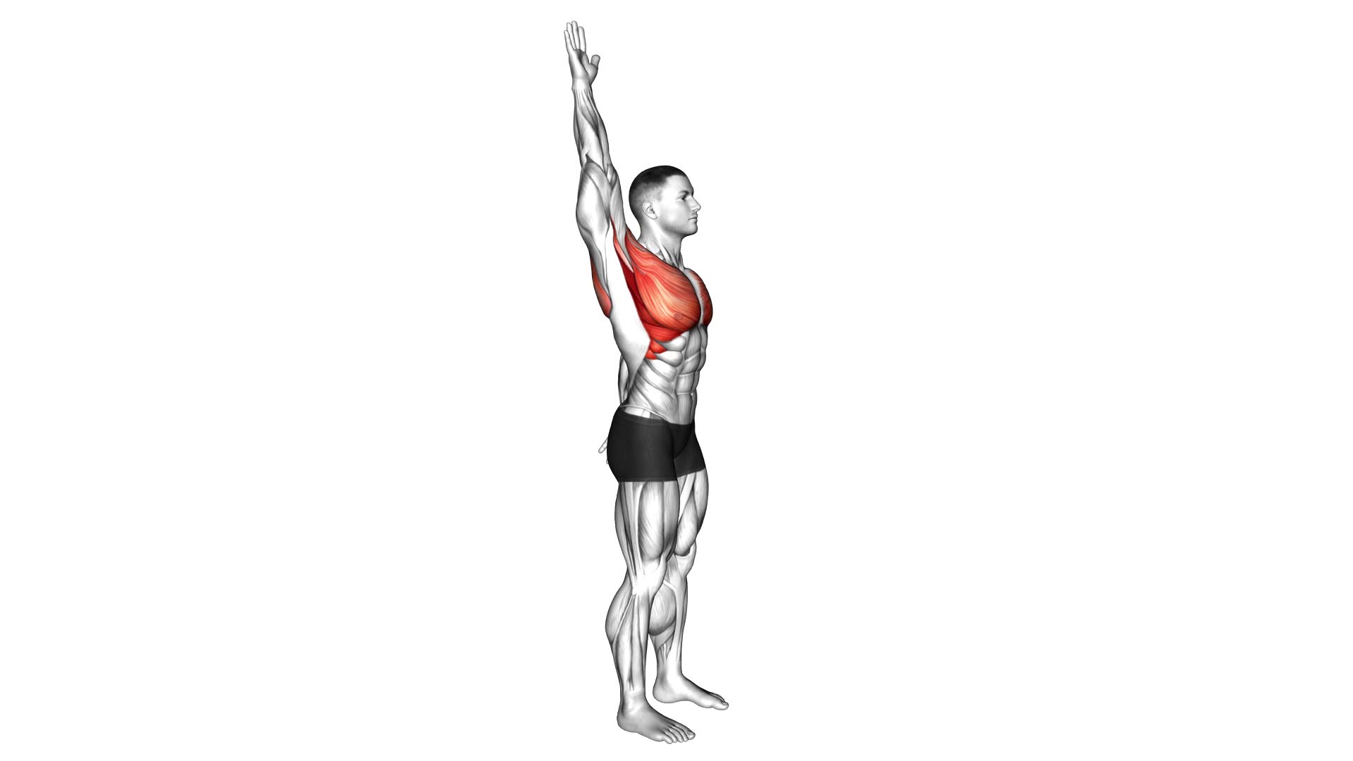 Standing Overhead Shoulder Stretch (VERSION 2) - Video Exercise Guide & Tips