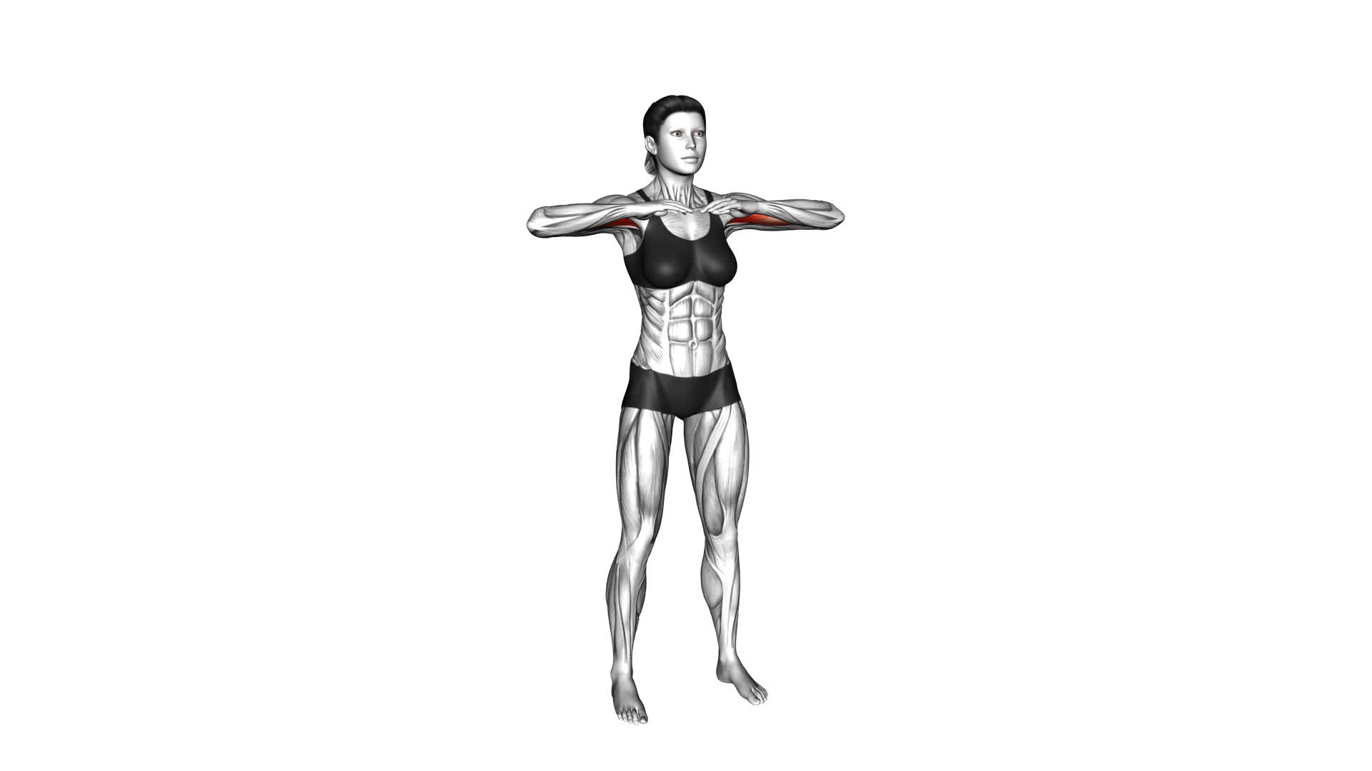 Standing Palm Slices (female) - Video Exercise Guide & Tips