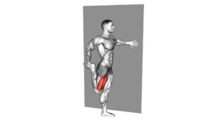 Standing Quadriceps Stretch - Video Exercise Guide & Tips