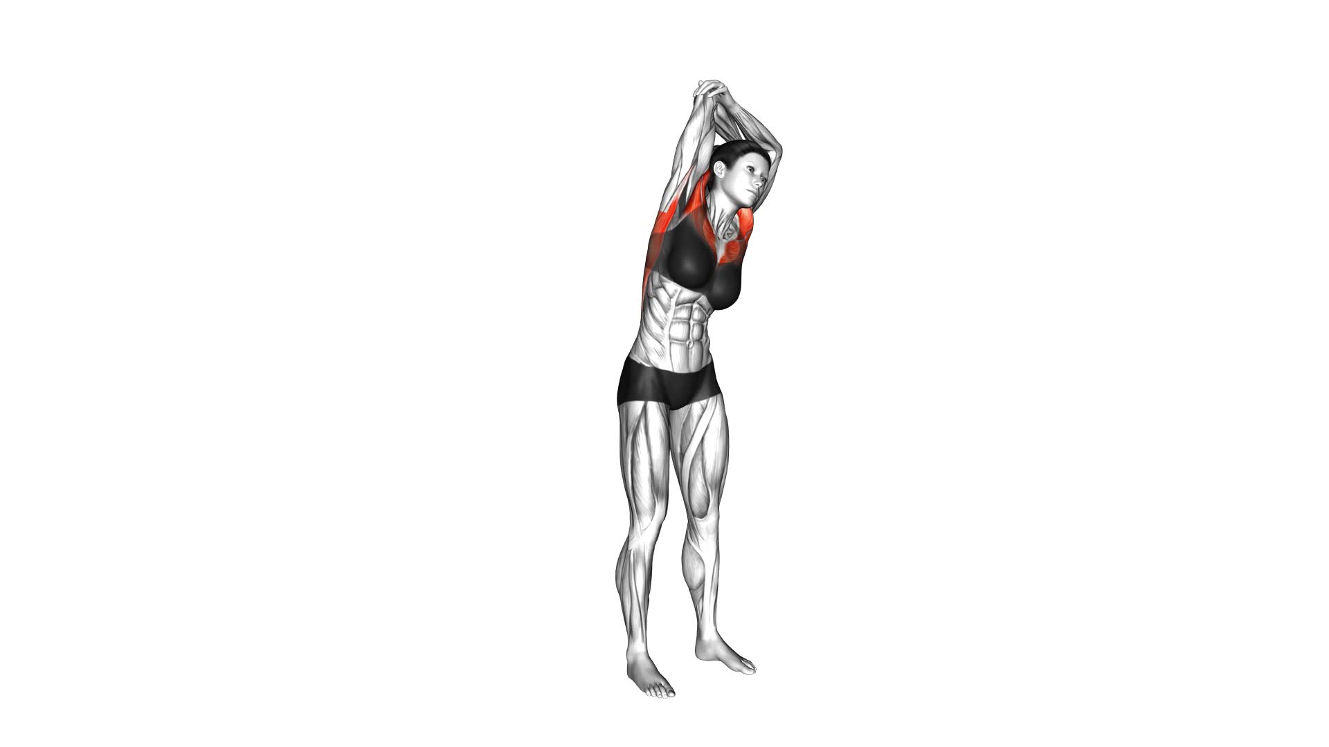 Standing Reach up Back Rotation Stretch (Female) - Video Exercise Guide & Tips