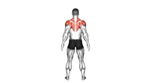 Standing Scapular Rotation (male) - Video Exercise Guide & Tips