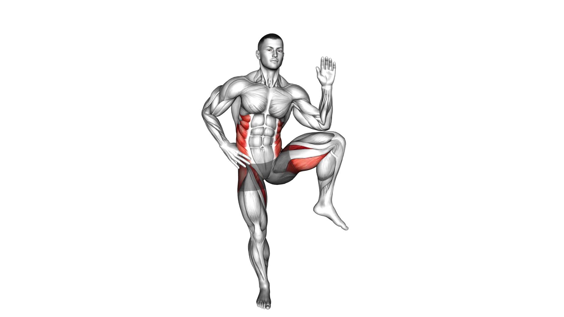 Standing Side Crunch Elbow to Knee (male) - Video Exercise Guide & Tips